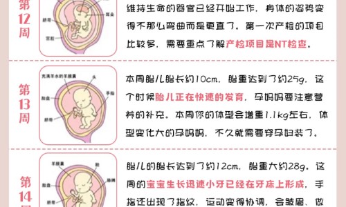 怀孕早期营养吃什么网 | 怀孕早期要吃什么对胎儿好,怀孕早期饮食吃什么好
