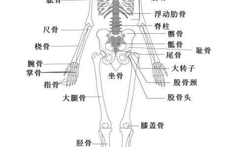 怀孕早期营养吃什么好-怀孕早期营养吃什么网 | 怀孕早期要吃什么对胎儿好,怀孕早期饮食吃什么好
