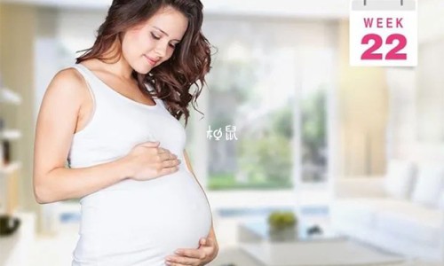 怀孕早期营养吃什么网 | 怀孕早期要吃什么对胎儿好,怀孕早期饮食吃什么好