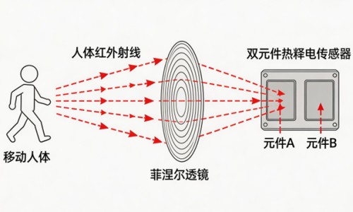 怀孕早期要吃什么对胎儿好-怀孕早期营养吃什么网 | 怀孕早期要吃什么对胎儿好,怀孕早期饮食吃什么好